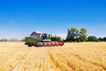 Obraz premium combine harvester on a wheat field with a blue sky