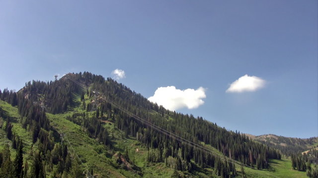 Snowbird resort mountain side summer forest HD
