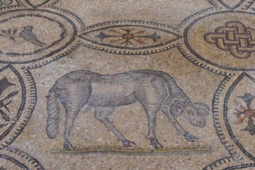 4th century Roman floor mosaics in the Romanesque-Gothic Basilica of Aquileia