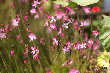 Holzverarbeitung Holzfarbrik