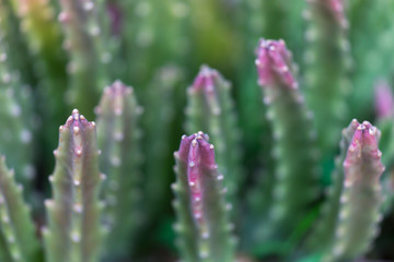 Holzverarbeitung Holzfarbrik