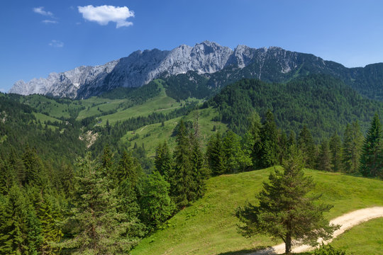 Mountain landscape in the Alps. View of the Wilder Kaiser, near Brentenjochalm. Austria, Tirol.