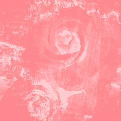 pink roses, abstract background