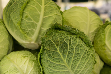 Fototapeta premium cabbage at the daily open market in Ljubljana, Slovenia