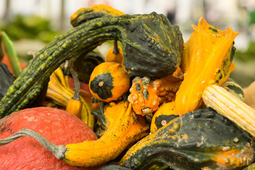 squash and gourds at the open air market, Ljubljana, Slovenia