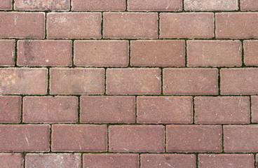 Brick wall texture