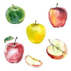 watercolor apples