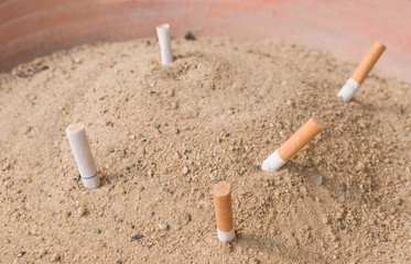 Cigarettes Butts in An Ashtray Big Bin