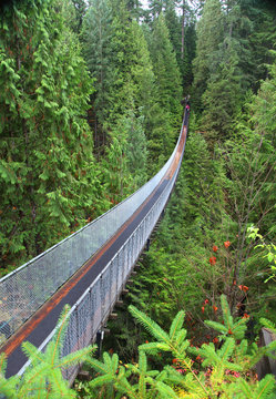 Capilano suspension bridge in British Columbia, Canada