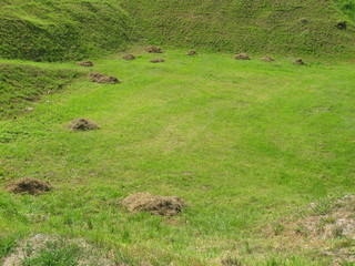 Mole mound in the field