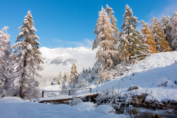 Herbst und Winter Landschaft