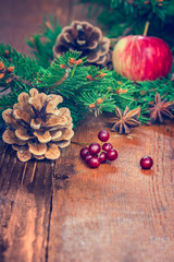 apples and fir branch