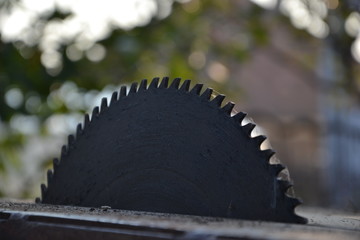 Circular saw blade for wood