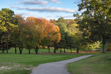 Obraz premium autumn park