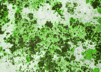 Designed grunge paper