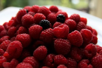 Plate of fresh raspberries 
