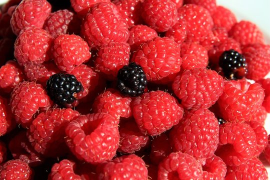 Plate of fresh raspberries 