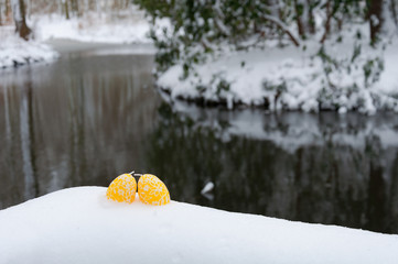 Easter background: Egg in the snow