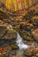 Fototapeta na wymiar Waterfall in the canyon. Beautiful natural autumn background
