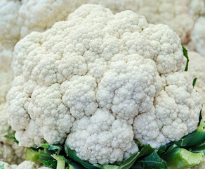 fresh cauliflower at a farmers market