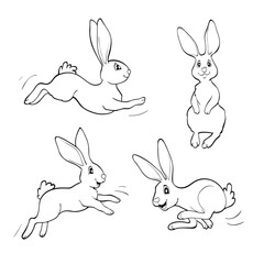 Coloring book or page. Four fanny rabbits.
