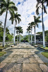 Fototapeta premium Hawaii Walkway.