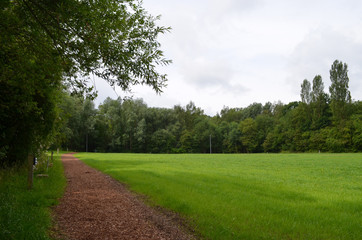 Fototapeta na wymiar View trough forest edge on lawn and run track