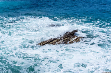 Storm wave on the sea
