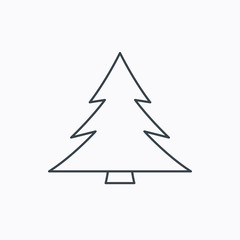 Obraz premium Christmas tree icon. Forest or nature sign.