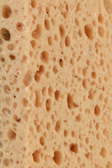 Sponge