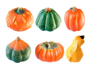 Six differents pumpkins