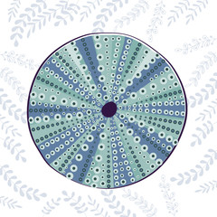 Sea urchin colorful illustration
