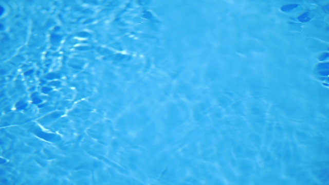 The bacteria under the microscope. Slow motion capture. Shot with Red Cinema Camera