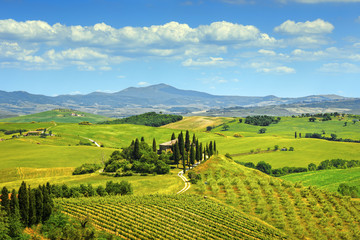 Tuscany, farmland and cypress trees, green fields. Italy.