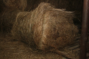 Сноп сена - A sheaf of hay