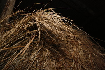 Сноп сена - A sheaf of hay