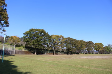 秋の公園