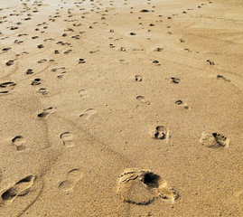 sand footprints texture