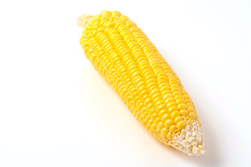 ears of Sweet corn isolated on white 
