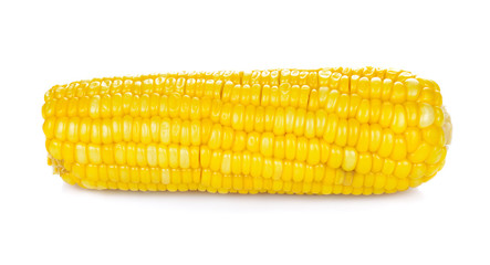 Sweet corn isolated on white background