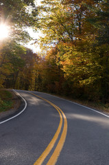 Fototapeta premium Road Trip in the Autumn Forest