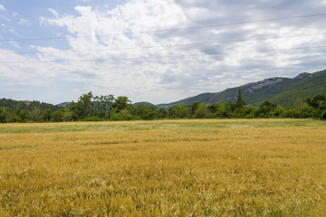 Countryside in Croatia