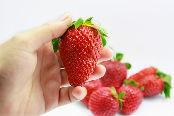hand holding fresh strawberries