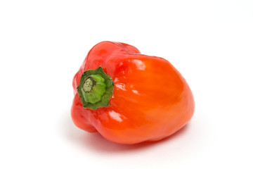 トウガラシ　ハバネロ