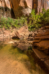 Zion National Park