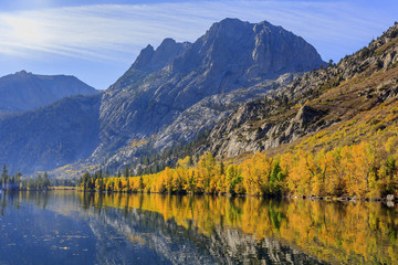 Fototapeta premium Beautiful fall color in California