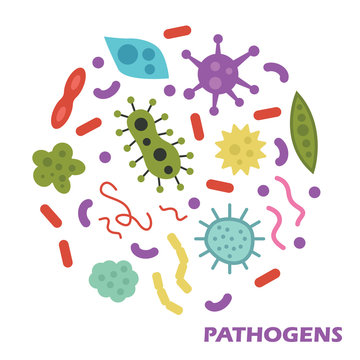 pathogens flat design