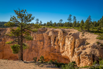 Capitol Reef and Bryce Canyon