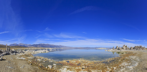 Beautiful tofu in California
