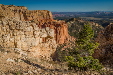 Capitol Reef and Bryce Canyon